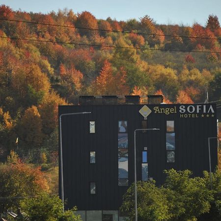 Hotel Angel Sofia Falticeni Luaran gambar