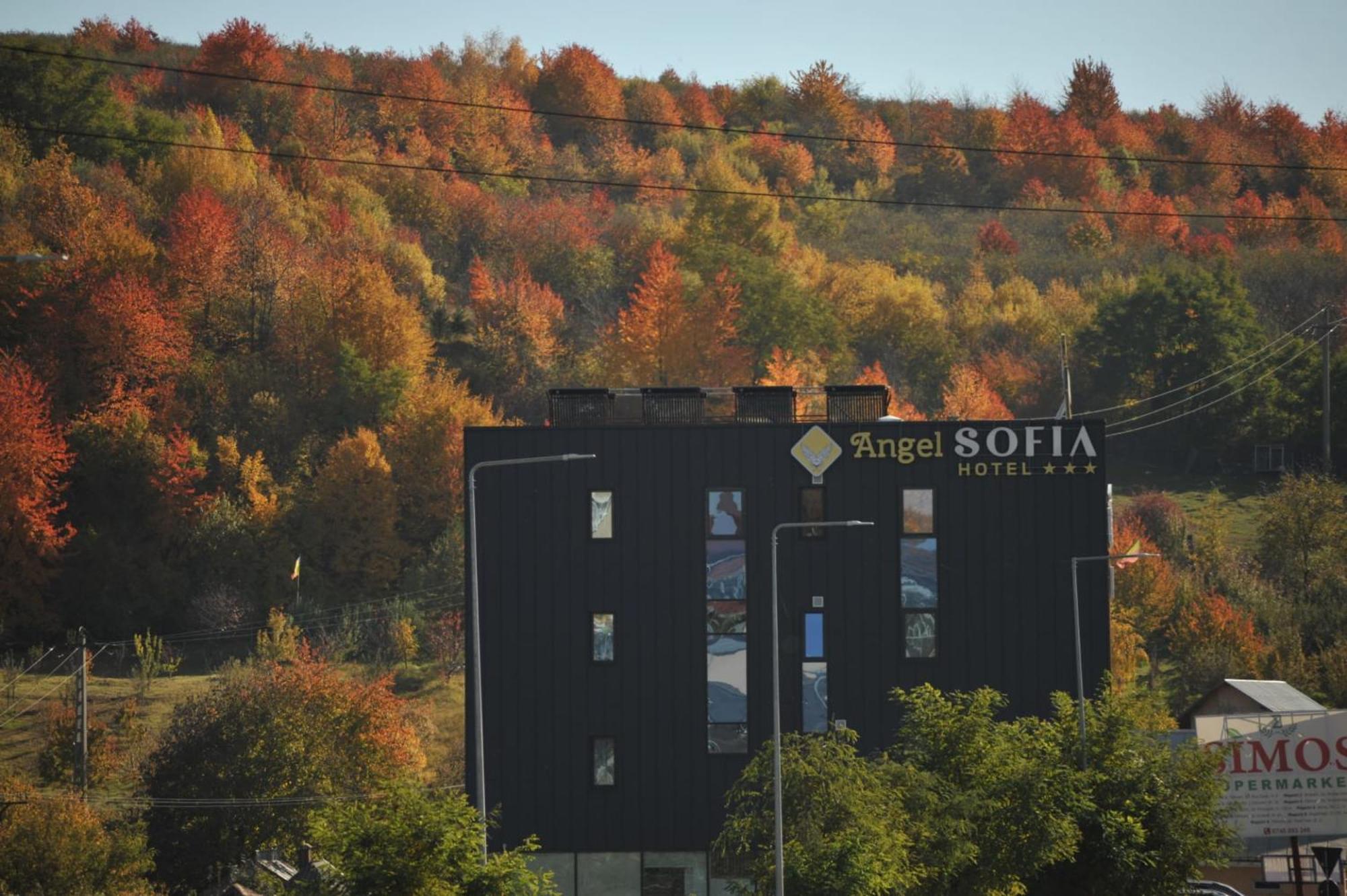 Hotel Angel Sofia Falticeni Luaran gambar
